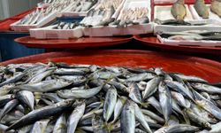 Balık tezgahlarında durgunluk: Hamsi yok, fiyatlar yükseldi