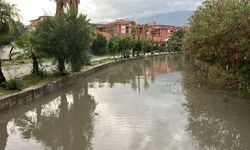 Ağva Deresi'nde yağış mesaisi