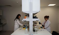 Akdeniz Üniversitesi’nden büyük başarı: İlk 20’de yer aldı