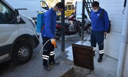 Alanya'da yaz-kış sineklerle mücadele sürüyor