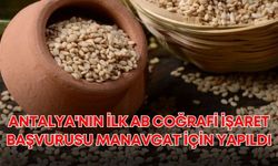 Antalya'nın ilk AB Coğrafi İşaret başvurusu 'Manavgat Altın Susamı' için yapıldı