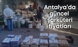 Antalya’da güncel şarküteri fiyatları... Yumurta tavan yaptı!