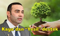 CHP’li Aykut Kaya’dan zeytin fidanı dağıtımına destek