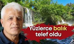 Antalya’da balıklar ölüme terk edildi! Düdeni besleyen kanalda tepki çeken görüntüler!