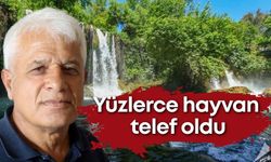 Antalya’da balıklar ölüme terk edildi! Düdeni besleyen kanalda tepki çeken görüntüler!