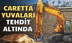 Belek'te caretta yuvalarına iş makinesiyle girdiler!