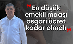 CHP PM Üyesi Cavit Arı: “Emeklilerimiz açlığa mahkum edildi”