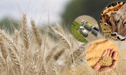 Bakan Yumaklı, çiftçilere verilecek destek ödemesini açıkladı