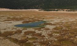 Prof. Dr. Murat Türkeş, uyardı: Yağışlar geçici, su stresi kalıcı