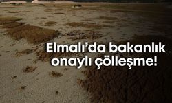Elmalı’da bakanlık onaylı çölleşme tehdidi! 33 dekarlık proje ortalığı ayağa kaldırdı!
