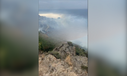 Gazipaşa'da yangın çıktı! Alevler hızla büyüyor