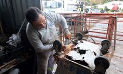 Bodrum Belediyesi'nden geri dönüşüm için örnek adım