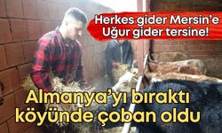 Herkes gider Mersin’e, Uğur gider tersine! Almanya’yı bıraktı köyünde çoban oldu