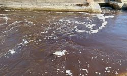Göksu Nehri'nde çevre felaketi: Nehir siyaha döndü