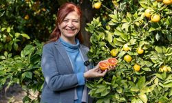 Mersin kan portakalı tescil yolculuğunda