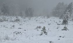 Muğla’da kar yağışı başladı
