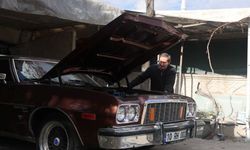 Serada sebze değil, klasik araba yetiştiriyor!