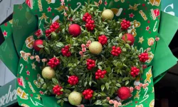 İki bitkinin tek vücut olduğu kokina çiçeği hakkında bilinmeyenler