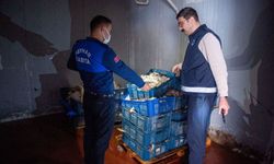 Adana'da kasalarca kokmuş tavuk ele geçirildi