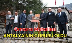 Ormana'ya büyük onur! Vali Hulusi Şahin yerleştirdi