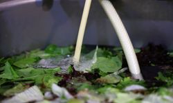 EKDAĞ tesislerinde hijyen üst seviyede