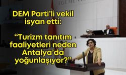 DEM Partili vekil, turizmin Antalya dışına da yaygınlaştırılmasını önerdi