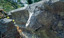 Termessos’ta tarihi eser tahribatı