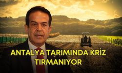 Antalya’da tarım alarm veriyor! Patronlardan hükümete çağrı