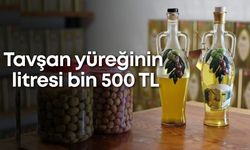 Antalya'nın 'İlaç gibi' zeytinyağı: Tavşan yüreğinin litresi bin 500 TL