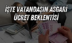 İşte vatandaşın asgari ücret beklentisi