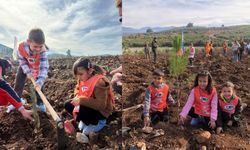 81 ilde fidanlar toprakla buluşuyor
