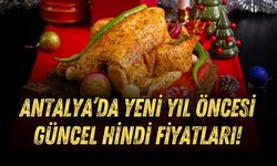 Antalya’da yeni yıl öncesi güncel hindi fiyatları!