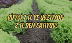 Marul haberimiz ses getirdi! Milletvekili çiftçinin serasına girdi