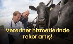 Veteriner hizmetlerinde rekor artış!