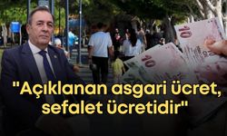 Mustafa Erdem: "Açıklanan asgari ücret, sefalet ücretidir"