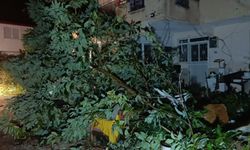 Gece hortum ve kasırga Antalya'yı salladı