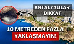 Antalya kıyılarında 6 aydır izleniyor! 800 kilometrelik yolculuk