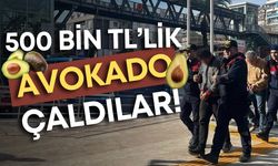 Alanya’da 500 bin liralık avokado hırsızlığı! 3 şüpheli hakkında karar açıklandı