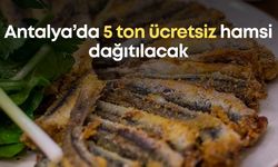 Antalya’da 5 ton ücretsiz hamsi dağıtılacak