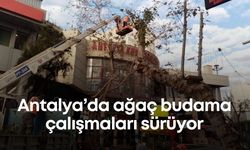 Antalya’da ağaç budama çalışmaları sürüyor