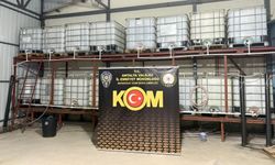 Antalya’da organize suç örgütüne ve kaçakçılığa darbe