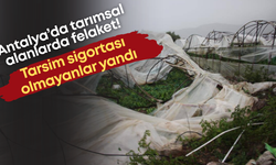 Antalya’da tarımsal alanlarda felaket! Tarsim sigortası olmayanlar yandı