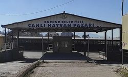 Burdur Belediyesi ŞAP sebebiyle kapattığı hayvan pazarını yeniden açtı