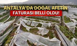 Antalya’da doğal afetin faturası belli oldu!