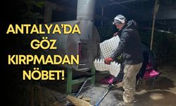 Antalya’da zorlu nöbet! Bir gecede 50 soba yakıyorlar!