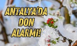 Antalya iç kesimlerinde kuvvetli don ve buzlanma uyarısı!