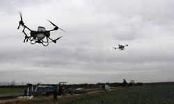 Tarlada dron devrimi: 3 saatlik iş 30 dakikada bitiyor