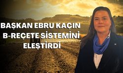 Ziraat Mühendisleri Odası Başkanı Kaçın'dan B-Reçete eleştirisi