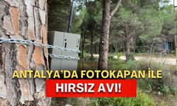 Antalya’da hortum vurdu hırsız dadandı! Fotokapan ile hırsız avı başladı!