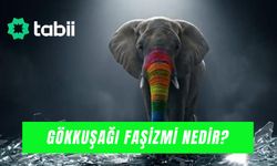Tabii Gökkuşağı Faşizmi Konusu: Belgesel Ne Zaman Çıkacak?